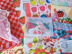 Strawberry Shortcake Scrapbooking Junk Journal Embellishment Vintage Empherma