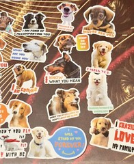 50 Pieces Bundle Pack Dog Theme Stickers Decal High Glossy Finish