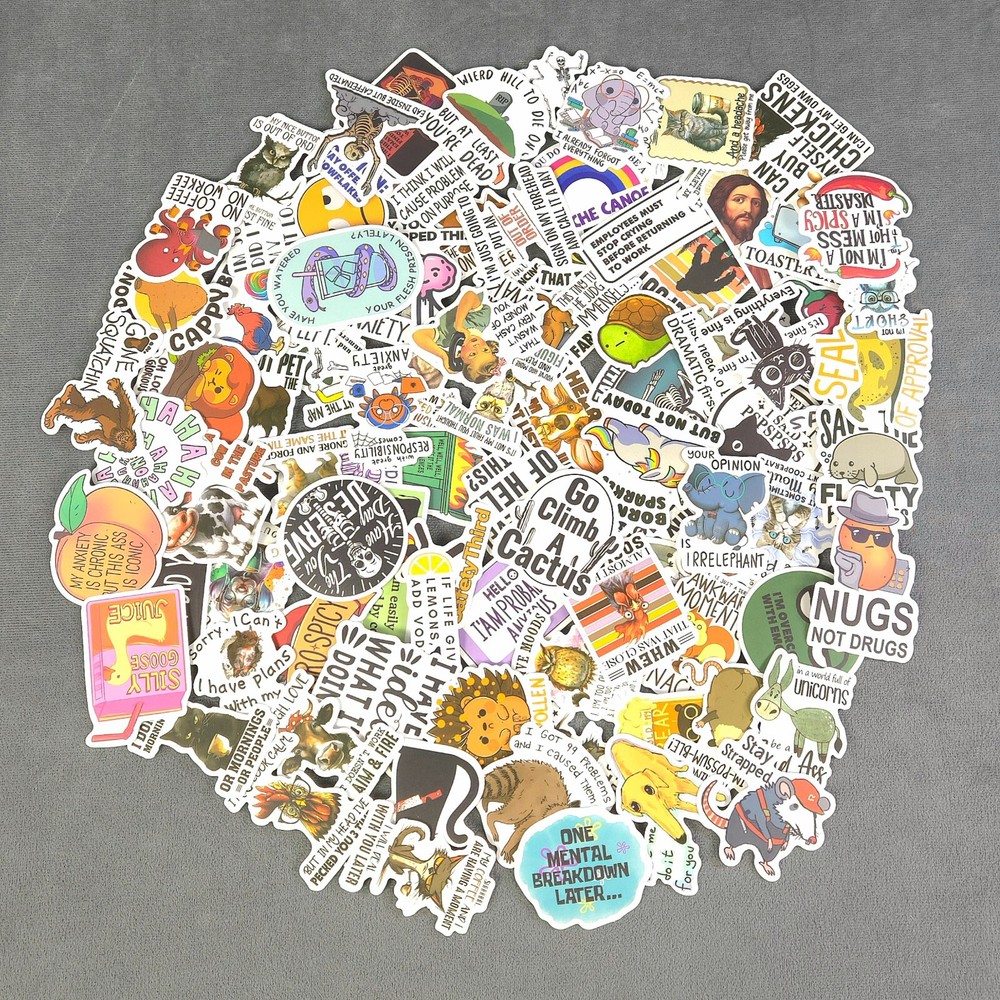 Funny Sarcastic Quotes & Sayings – Set of 10 Random Stickers – Great for Crafts