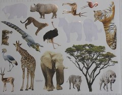 New Scrapbooking Stickers ZOO SAFARI meercat lion flamingo rhino tiger ostrich