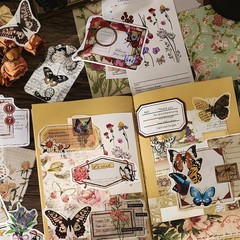 260 PCS Vintage Scrapbooking Supplies Aesthetic Journaling Kit,Large Collection
