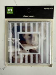 Making Memories Sheer Frame Wallpaper Stripe #24465 Scrapbooking Crafts