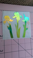 Vintage Sandylion Stickers Mother Of Pearl Iris Flowers 1 Module