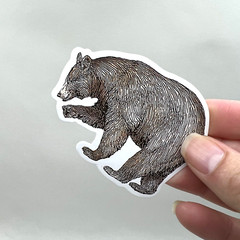 Forest Animal Stickers Nature Bear Squirrel Fox Scrapbooking *SEE DESCRIPTION*