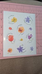 Vintage Hallmark Stickers Flowers And Phrases Encouragement Letter Writing Sheet
