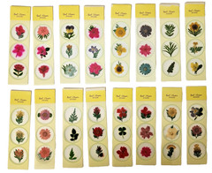 Vintage Victorias Garden Pressed Flowers & Foliage Real Stickers – 16 packs