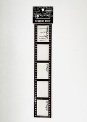 Creative Imaginations Narrastives Negative Strips