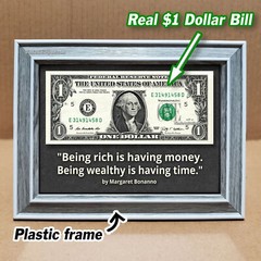 REAL Dollar Bill Framed Motivational Quote Money Being Rich Is Having Money
