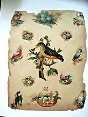 Lovely 1800-1900’s 2-Sided Die Cut Album Page w/ Butterflies, Children & Birds *