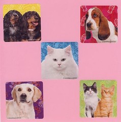 10 Pet Pals – Large Stickers – Party Favors – Cat, Kitten, Dog, Puppy
