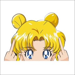 Sailor Moon Sticker Decal