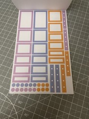 Amber Plans Her Day Doodled Florals Sticker Book 857 Planner Stickers 30 Pgs