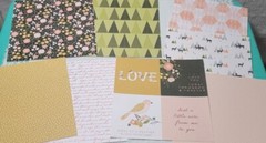 Papercraft Lot #1 – Build Your Stash – Peachy Evergreen Recollections – 30 Pcs.