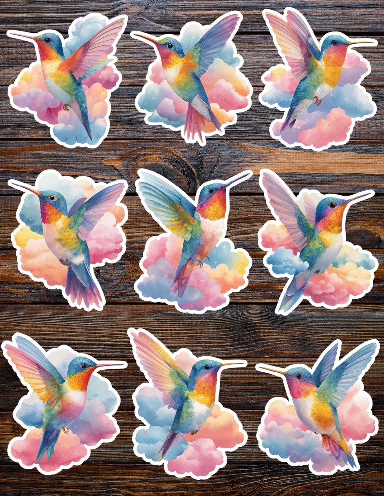 Colorful Hummingbird Die Cut Vinyl Stickers Scrapbooking Laptop Waterbottle
