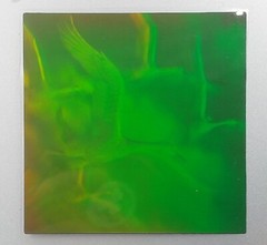 VTG Polaroid 3-D 90’s Holograms Prototypes Seagulls / Birds in Flight 3.25×3.25″