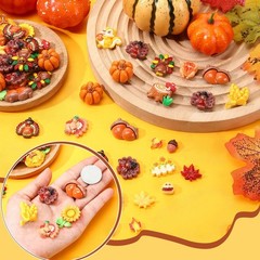 40 Pcs Mixed Color Mini Fall Resin Charms 4.33 Inch