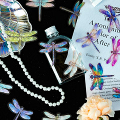 30PCS Holographic Dragonfly Stickers – Gold Foil Insect Clear Scrapbook Decals f