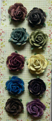 SUGAR BLOOMS COLLECTION REFLECTIONS – 10 Pk 30mm Across Paper Roses PRIMA EA