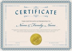 Hybsk 300Pcs Notary Seals 2 Inch Embossing Stickers Gold Metallic Certificate Se