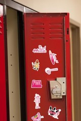 PINK PANTHER VARIETY DIE CUT VINYL 50 CT STICKER PACK