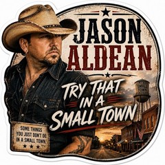 Jason Aldean Sticker/Country/Country Music/Nashville/Try That In A Small Town