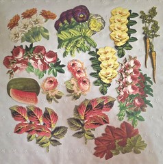 ANNA GRIFFIN 250+ Unlabeled DIE CUTS Flat+3D FLOWERS BIRDS BUTTERFLY+ NEW (PA51)