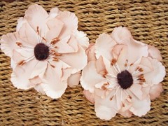 NIKITA WV – 2 Flower Pk APRICOT & DESERT SAND Colours 80-100mm Manor House ConA