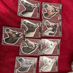 Vintage Advanced Graphics Lot Of 9 Horse Stickers