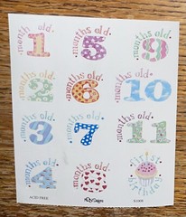 Timeless Treasures By NRN Designs Baby 1-12 Months 1 Year Old Scrapbook Stickers