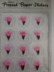 Nature’s Pressed Real Pressed Flower Stickers, PINK CORSAGE, NIP