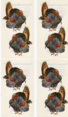 4 Sheets Frances Meyer FMI Stickers #RTST 916 – Turkeys – Wild Turkey