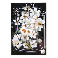40 pcs White Stickers Flower Leaves Sprigs Clear Edge Scrapbooking Card Making
