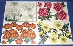 Anna Griffin Antique Botanical Die Cuts 96 pcs w/Foam Adhesive Free Priorityship