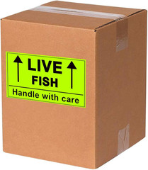 Remarkable Live Fish Stickers Shipping Labels, 2 X 3 Inch Fluorescent Green Plea
