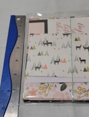 Papercraft Lot #1 – Build Your Stash – Peachy Evergreen Recollections – 30 Pcs.