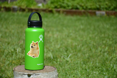 Doge Meme Sticker – Funny Shiba Inu Vinyl Decal for Laptop, Water Bottle, Gift