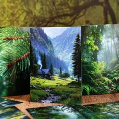 10 Sheets Woods Country Scenery Paper Scrapbook Junk Journal Album Wall Collage