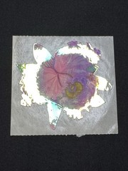 Vintage Sandylion Orchid Flower Mylar Foil Sticker With Some Peeling