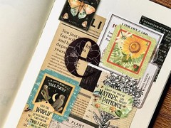 Bomichi 100 Pcs Postage Stamp Stickers, Aesthetic Insect Plants Colorful