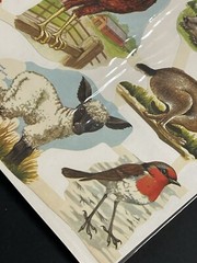 LOT OF 14 Full Sheets VTG MLP 1563 Animals Birds Die Cut Paper Scrap England