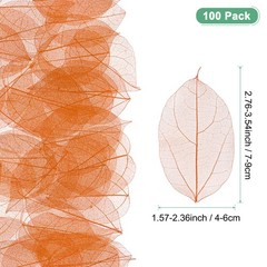 100-Pack Skeleton Leaves, Natural Rubber Tree Leaves Vein[7-9cm, Coffee]