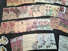 100 Pc Scrapbooking Supplies JJ Craft Kit Florabunda Theme Ephemera New Product