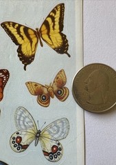 NATURAL BUTTERFLIES Stickers (14pc)Earth tone•Bugs•Wings•Flying •Card Making•