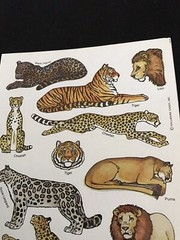 RARE Vintage 1980’s Hallmark African Safari Animal Sticker Sheet Wild Cats