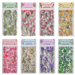 6Pcs Natural Journal Stickers PET Sticker Paper Scrapbooking Material Scrapbook