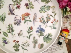 60pcs/Pack flower birds animal floral plant botanical Themed , washi paper stick