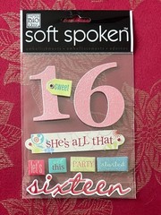 YOU CHOOSE UPDATED 9/21 MANY THEMES 3D STICKERS BY SOFT SPOKEN – FREE SHIPPING