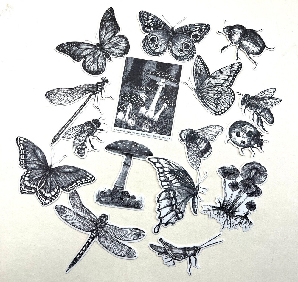 Black and White Garden Insect Stickers Planners Bullet Journal Scrapbooking
