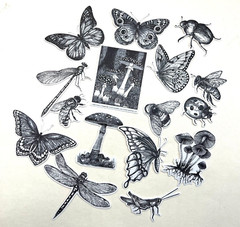 Black and White Garden Insect Stickers Planners Bullet Journal Scrapbooking