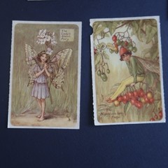 Vintage Brier Rose Flower Fairies Sticker Mod Lot Victorian Greetings